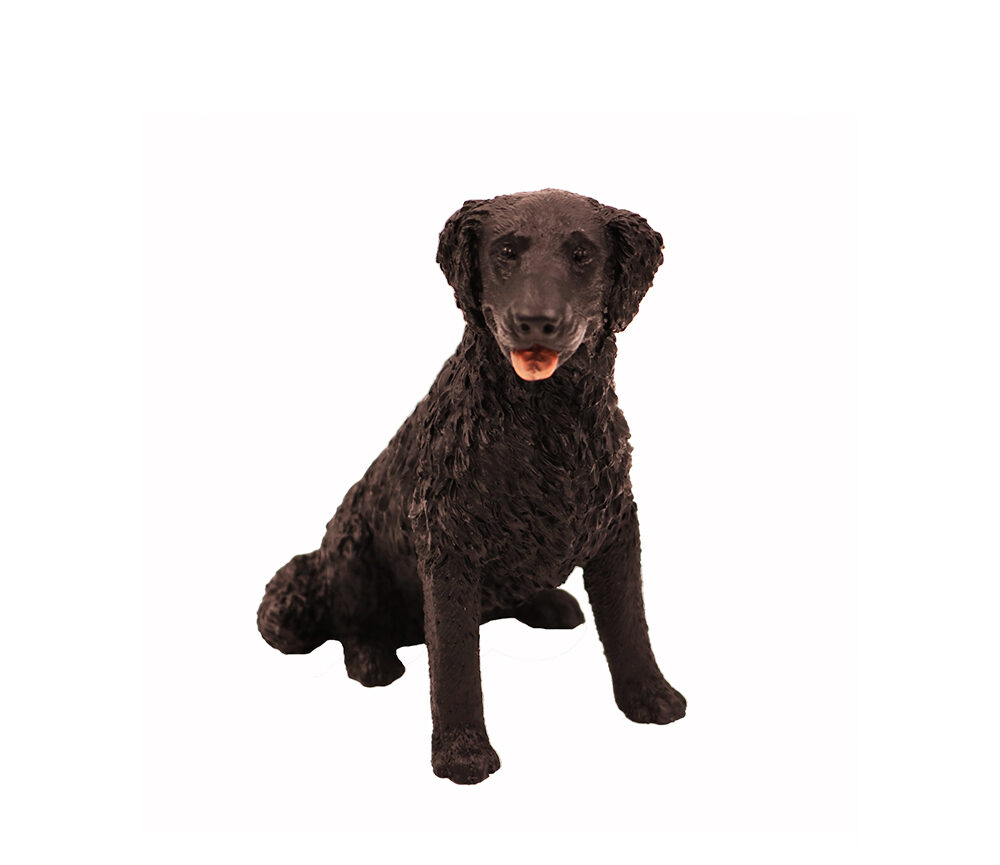 Long-haired Labrador (Black) - Cherish Pet Cremations