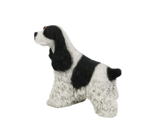 Cocker Spaniel (Spotted) - Image 3