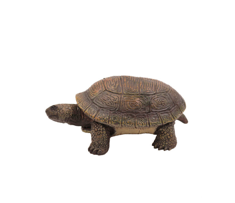 Turtle - Cherish Pet Cremations