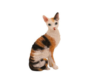 Cornish Rex Cat (Tort/White) - Image 2