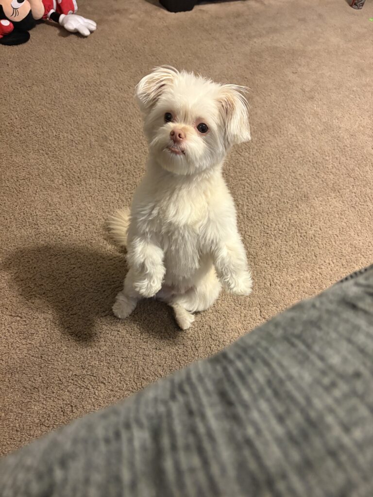 Champ Bentley Archer